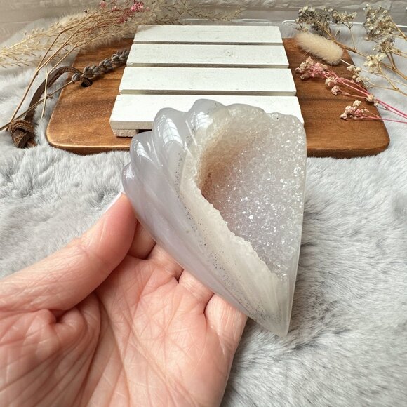 Gorgeous Druzy Agate Seashell Carving - Picture 1 of 6